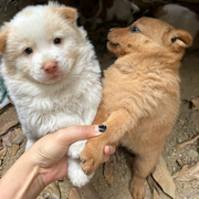 11111伊伊