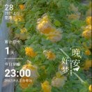 杨8e9