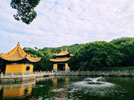 冰冰梓⚖️姜姜好的图片