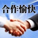 戴卫嫰伊
