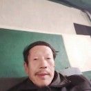 东北风3q