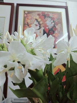 难哄小掌柜￥常思春的图片