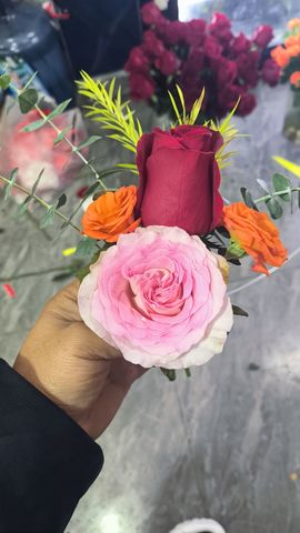 桃花恋小艺主播照片