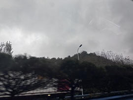 大气大长腿💕的图片