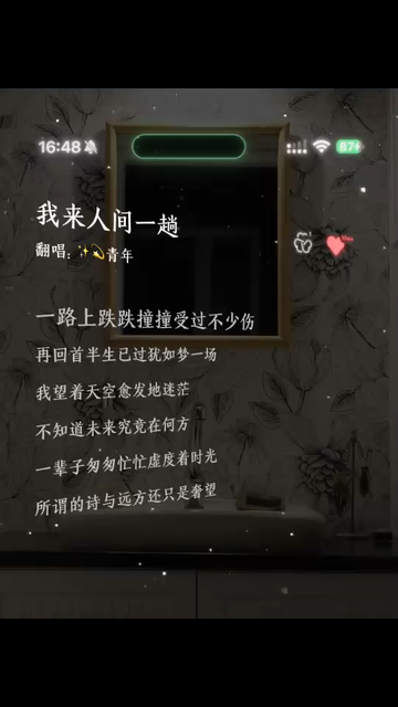 我来人间一趟