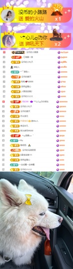 陈慧慧🥕早9晚8主播照片