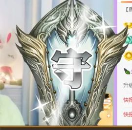 海鸽晚上见主播照片