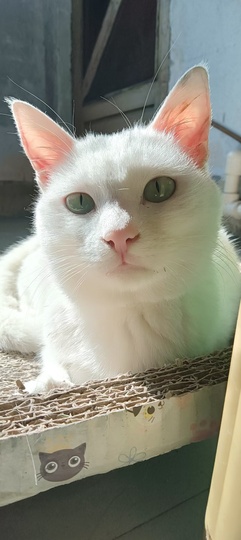 李李家花哥主播照片