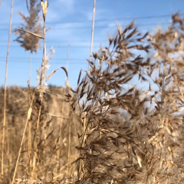 泰---森海报