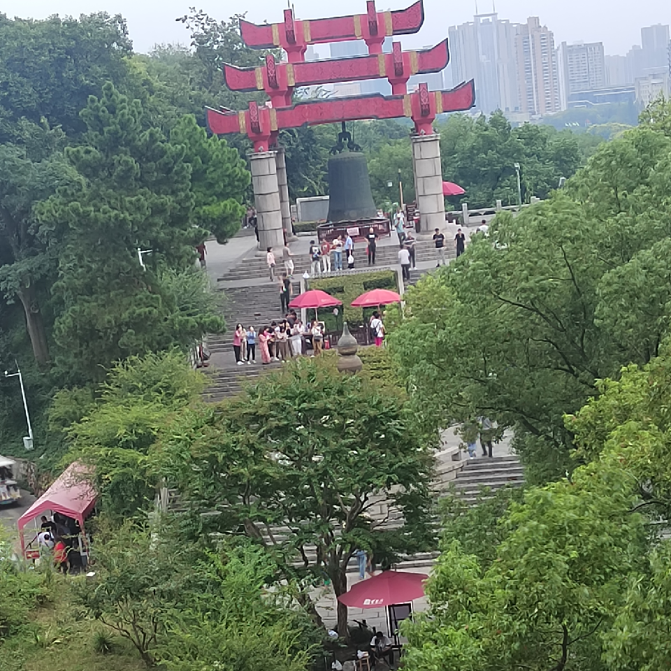 我浅男柚海报