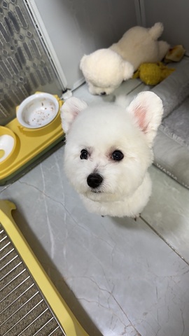 兔兔坚持住，加油主播照片