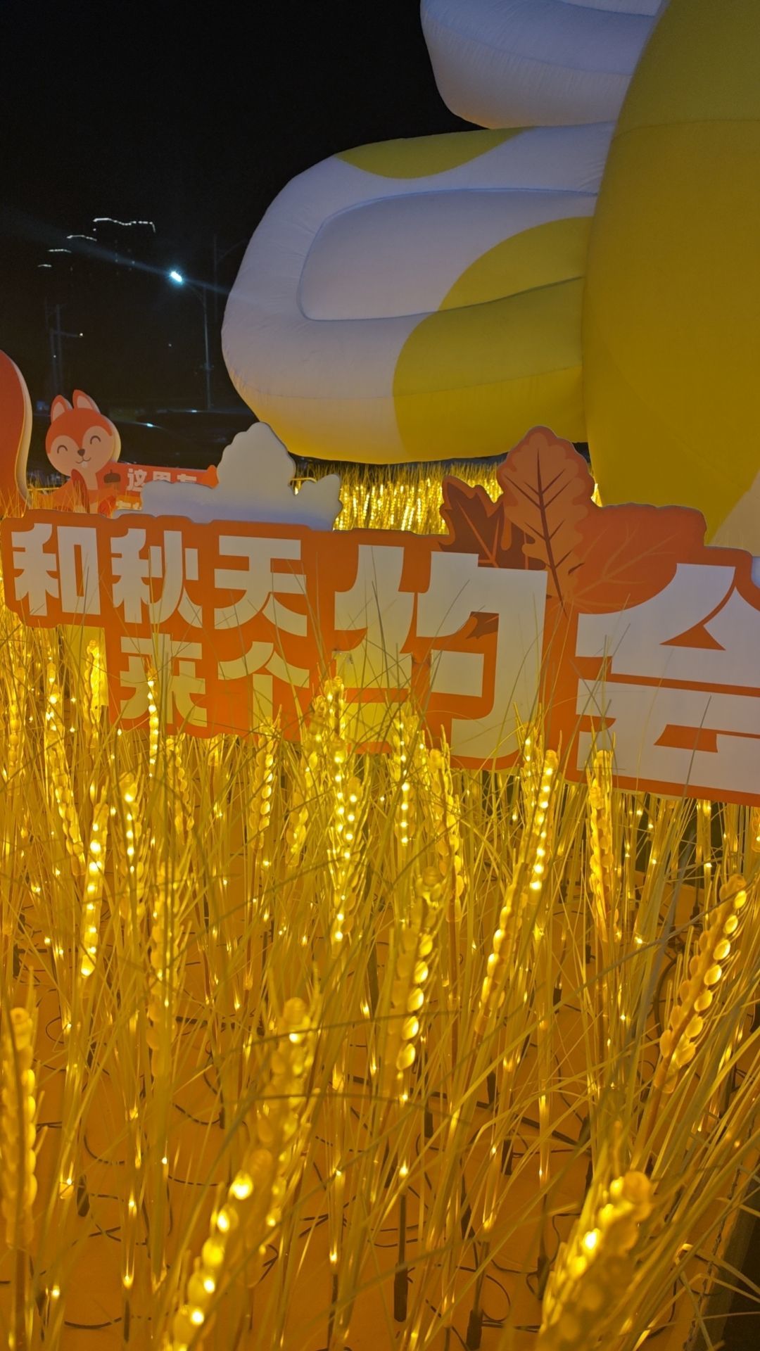 小仙女❤️想升级的图片