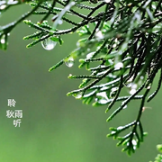 ✲落雨的秋✲