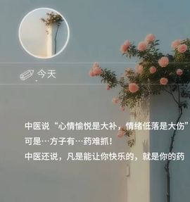 何芯დ下午播主播照片