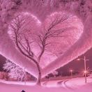 A💗珍惜💗