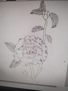 钟铃tina主播照片