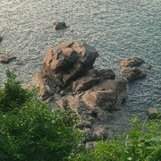 海边看海🌴🌷的头像