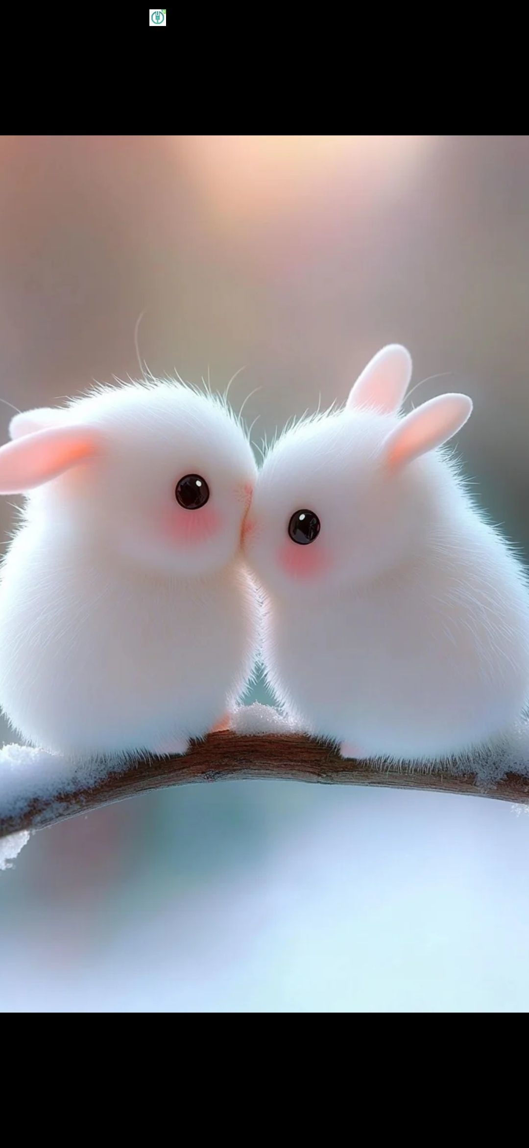 丑小鸭💞愿有一束光的图片