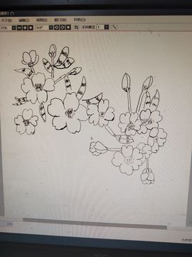 钟铃tina主播照片