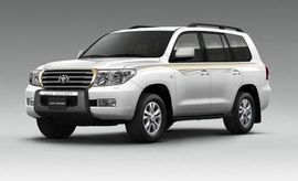 新❤哥🍎🍓的图片