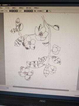 钟铃tina主播照片