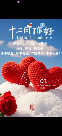 丑小鸭💞愿有一束光主播照片
