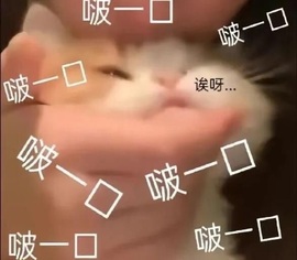 洁儿宝宝~主播照片