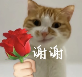 Lily喵的图片