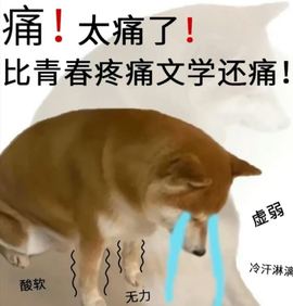 新人畅歌吉他弹唱主播照片
