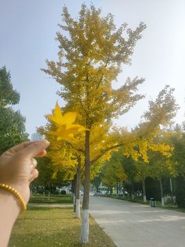 惯宝✨加油主播照片