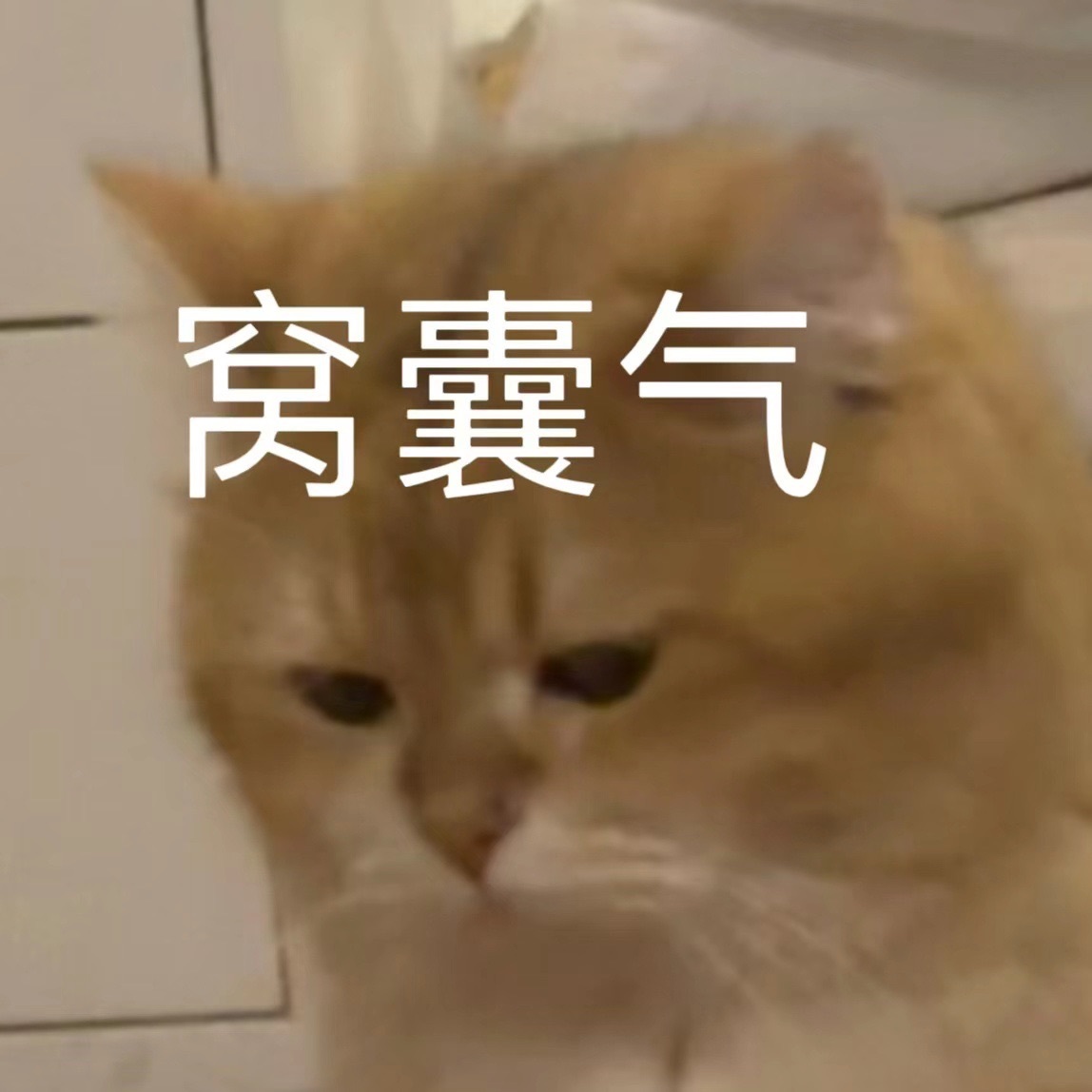 洁儿宝宝💗的图片