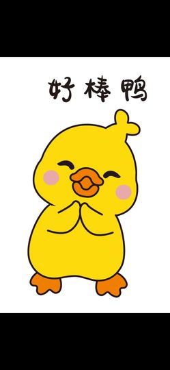 丑小鸭💞愿有一束光主播照片