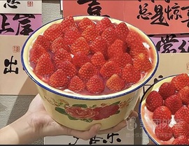 🍓巧克力123主播照片