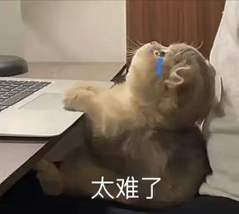 暮暮🌈🌈中中中主播照片