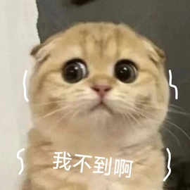 洁儿宝宝~主播照片