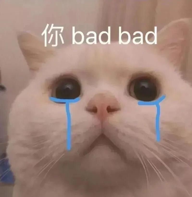 洁儿宝宝💗的图片