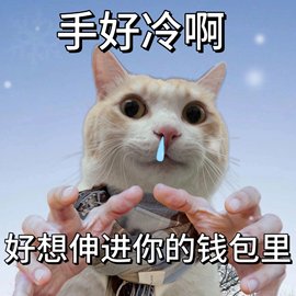 莫愁🌈主播照片