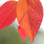 打雨听风