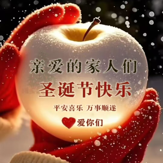 臭宝❤️圣诞快乐🎄海报