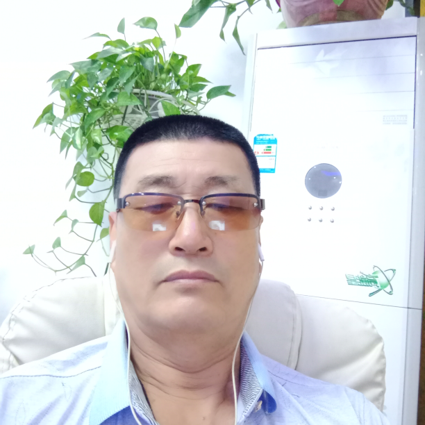 萌新宝宝sfal9a海报