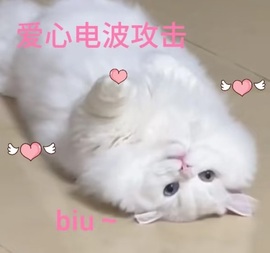 一心爱唱歌🌟主播照片