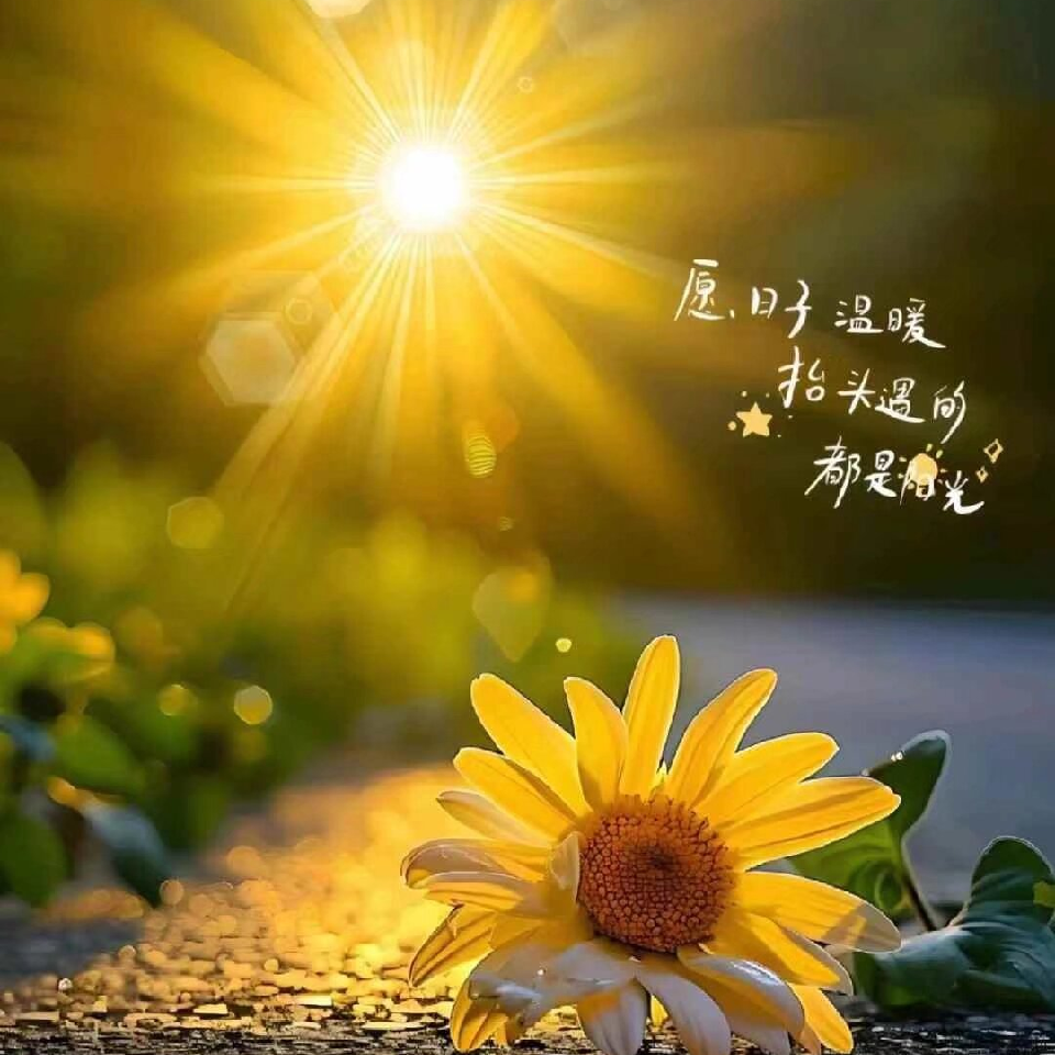 穿越人海╱♥♥遇见你海报