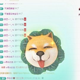 一只小柚柚休息中主播照片