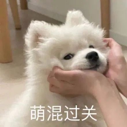 洁儿宝宝💗主播图片