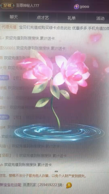 玲儿感谢的永生花