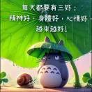 张金菊n海报