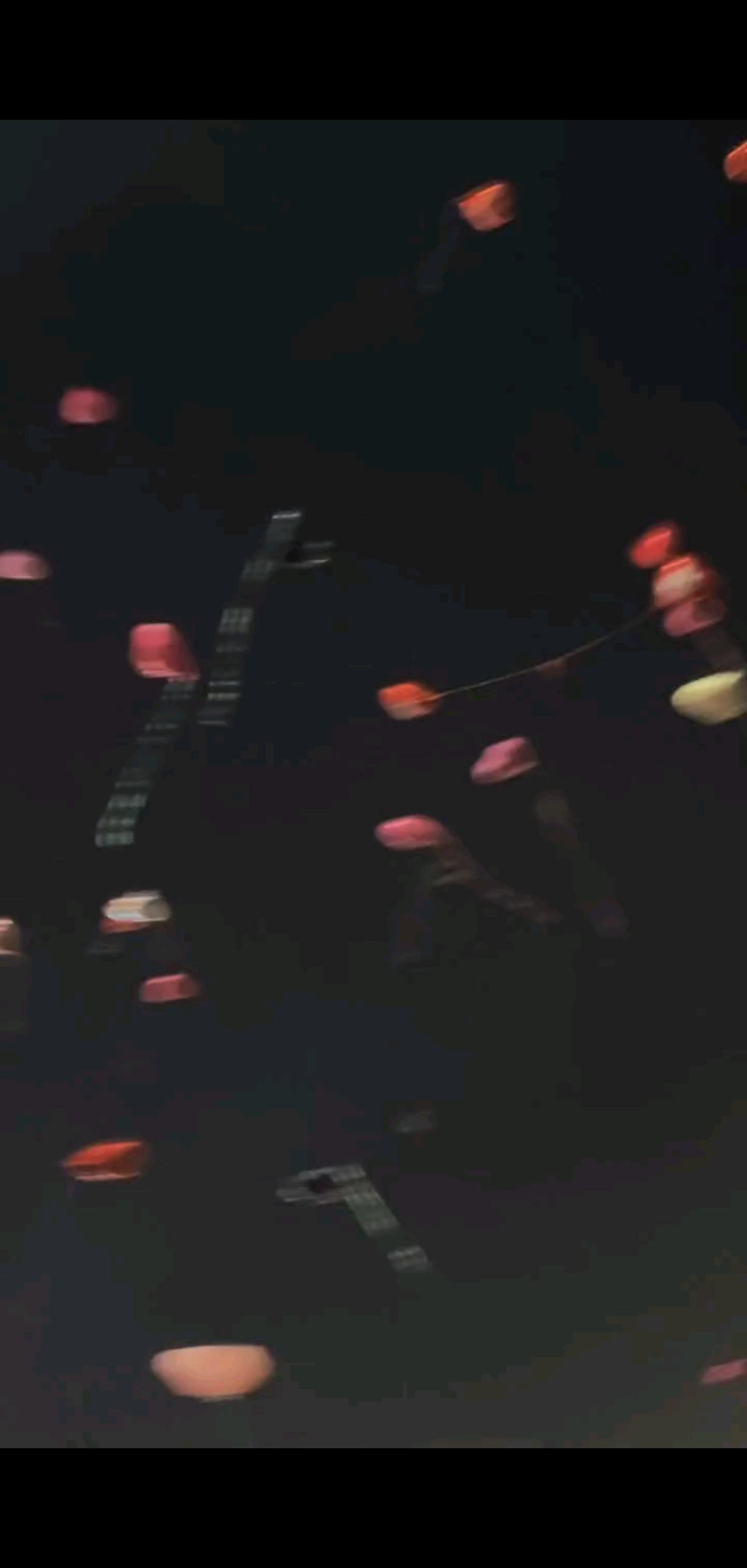 🧨²⁰²⁵/₀₁.₀