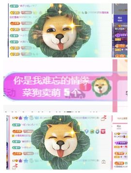 菲儿♥好运🌈主播照片