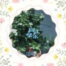 相遇就是缘分3r海报