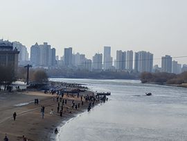 ^艾琳.的图片